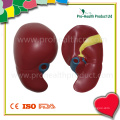 Kidney Shape Custom PU Anti Stress Ball